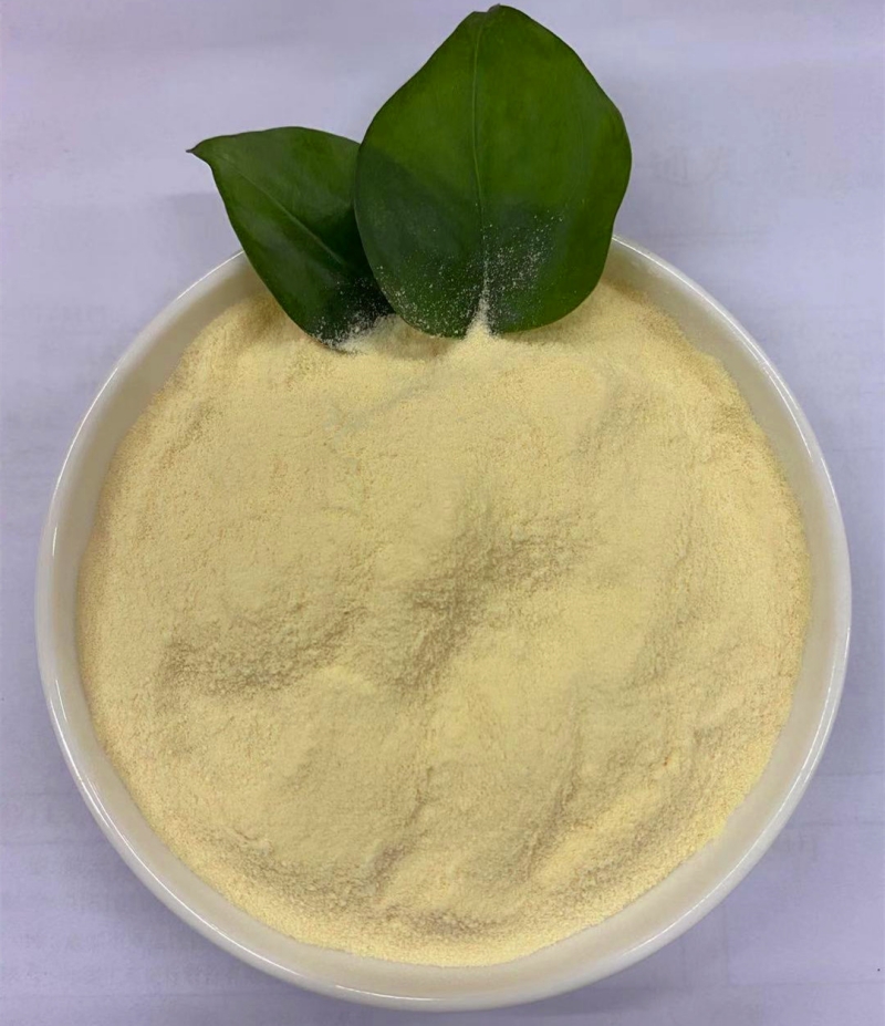 How do amino acids influence nutrient uptake in plants? Introduction In the vast and intricate world of agriculture, the role of organic fertilizers has become increasingly pivotal. These fertilizers, derived from natural sources, promise not just enhanced crop yield but also a sustainable approach to farming. Among the myriad components of organic fertilizers, amino acids stand out, playing a crucial role in plant nutrition. This article delves deep into the world of Plant Amino Acids and their profound impact on nutrient uptake in plants.