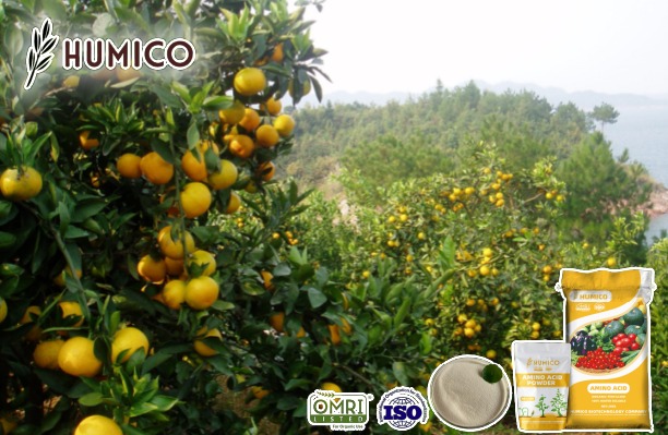 Humico - Magnesium Amino Acid Chelate Powder Organic Fertilizer Enhancing Fruit Growth and Quality